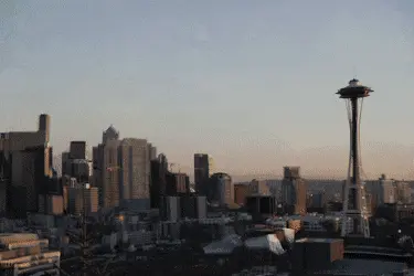 Shrooms in Seattle. [USE HD]