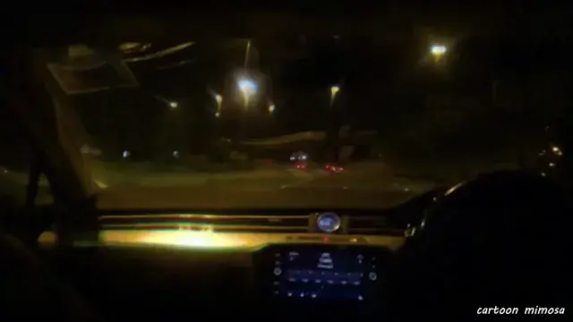 This road looks a bit funny🦋