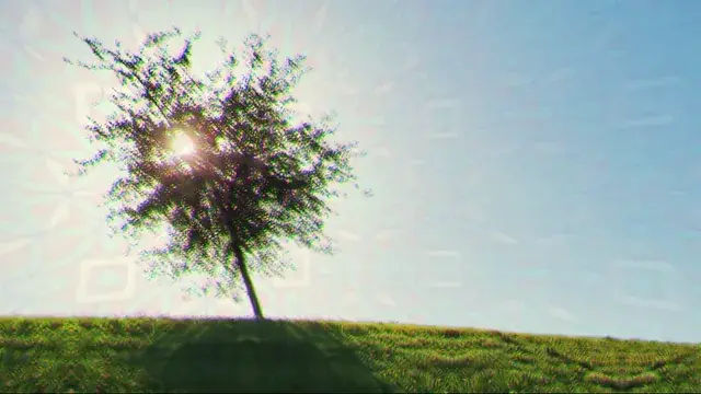 tree spirit