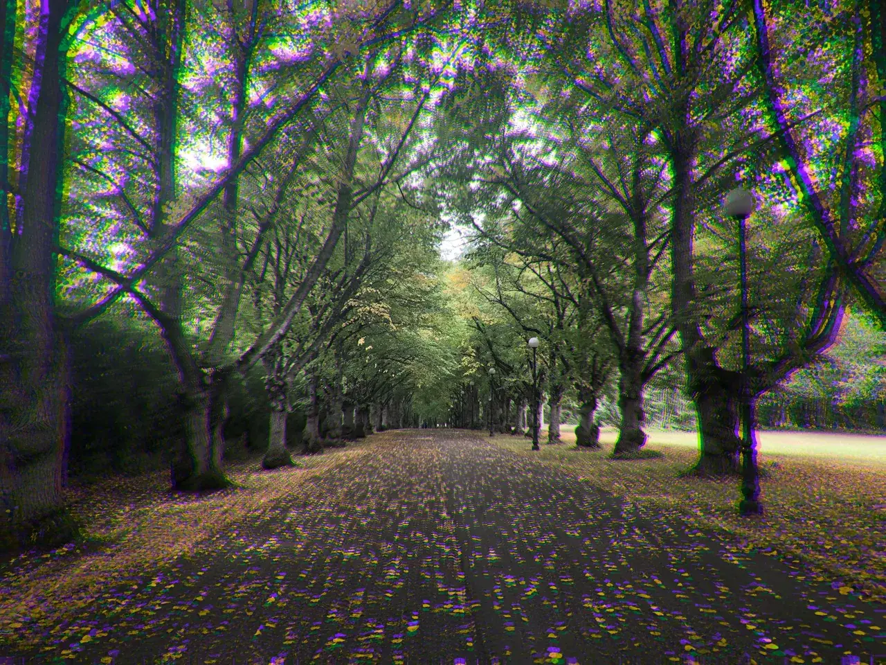 My walk at the park