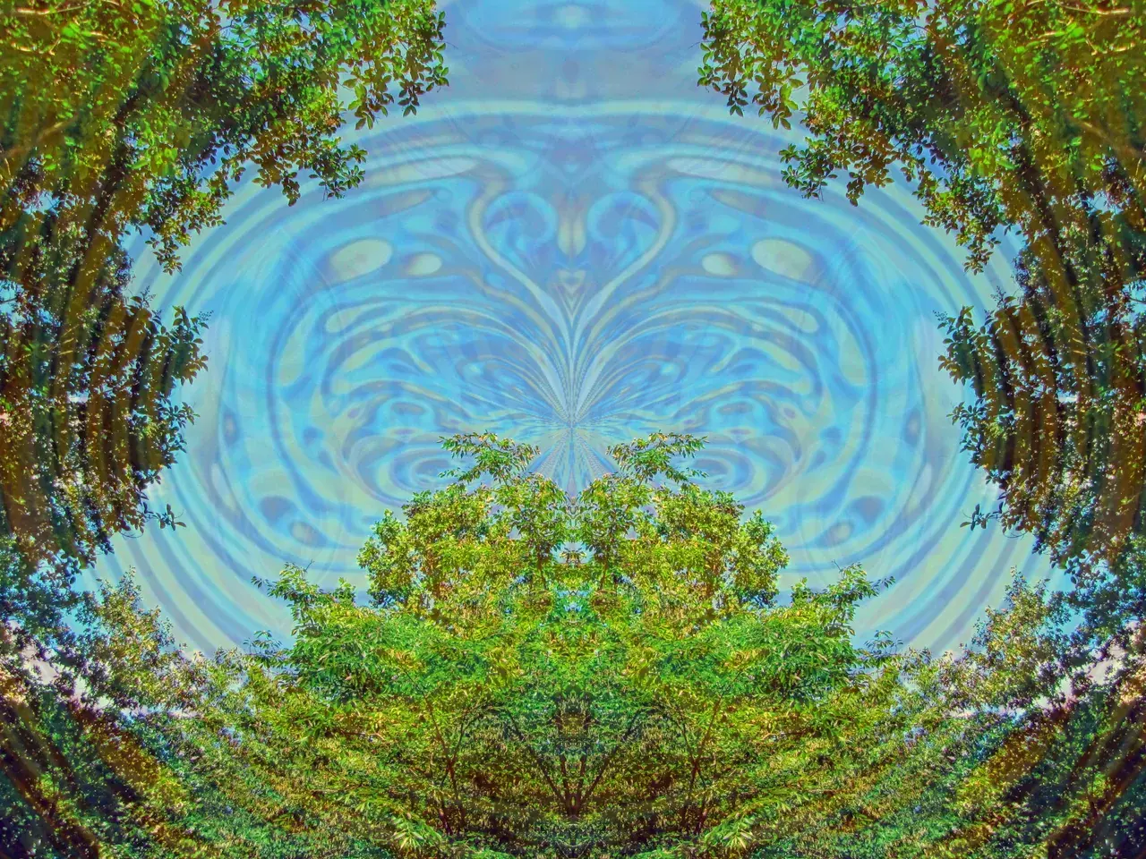 High dose in the woods.