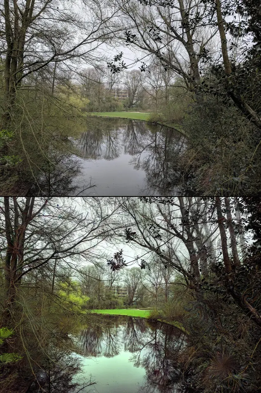 Another before-after Psilocybin still image replication