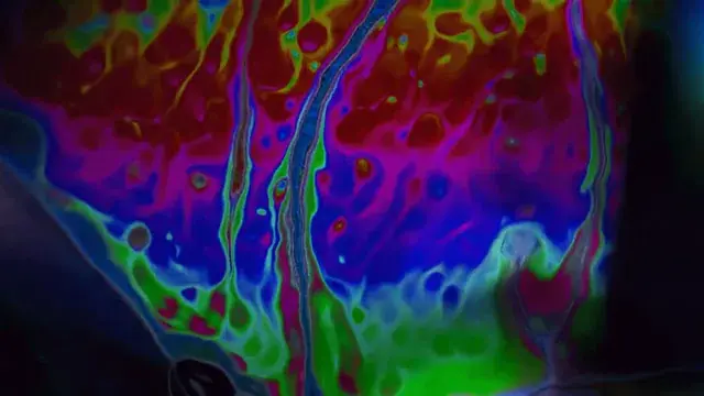 Shrooms. So slimy