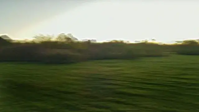 Outdoor trip (Collaboration project with AVI LSD)