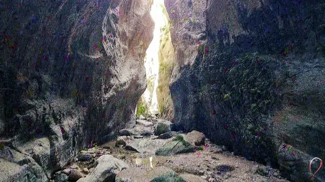LSD Trip in Nature