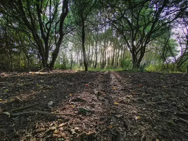 So subtle, LSD & Ketamine