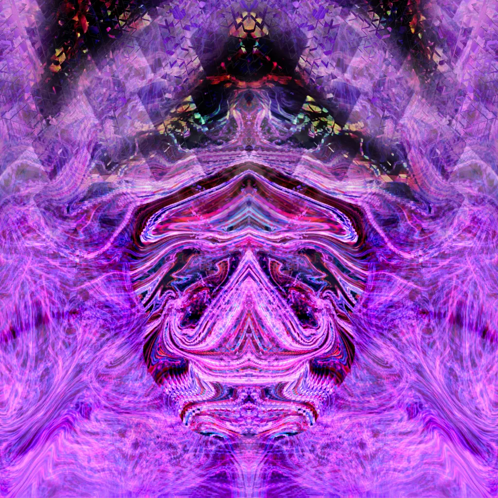 The DMT experience