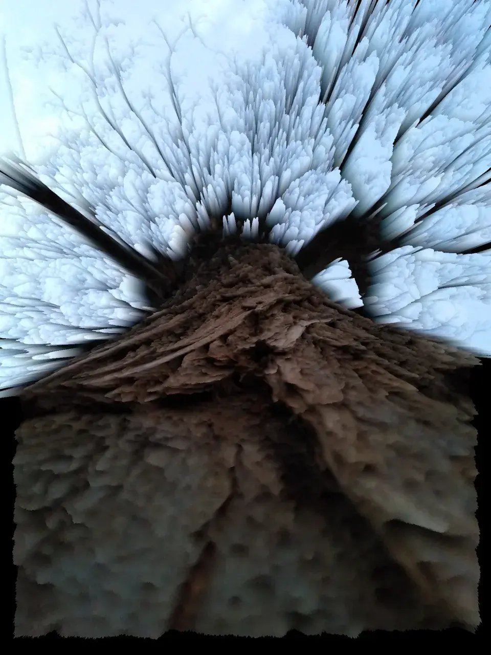 Mind blowing visuals of a tree.