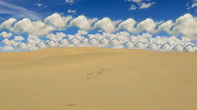 Shrooms on the dunes (sorry for the low resolution)