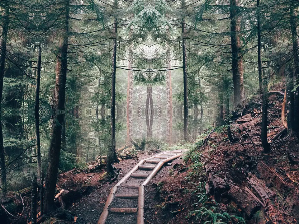 300-400 ug