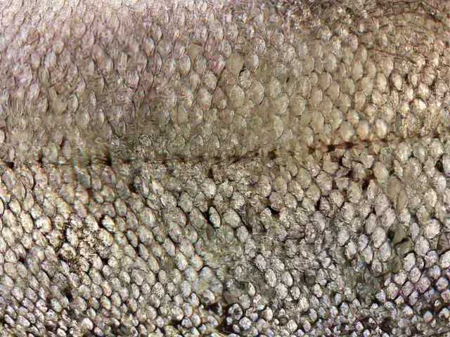 I think these scales are trying to tell me something...