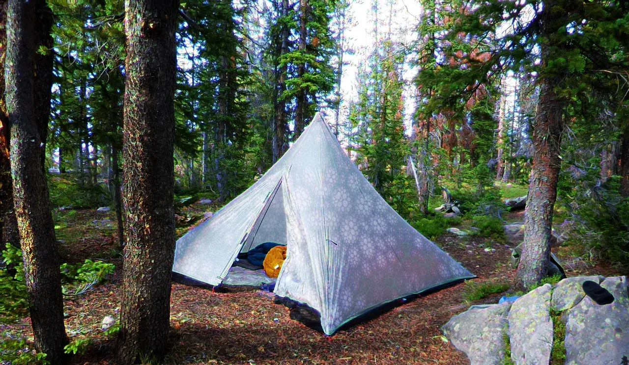 Trippin through the woods. [LSD][OC]