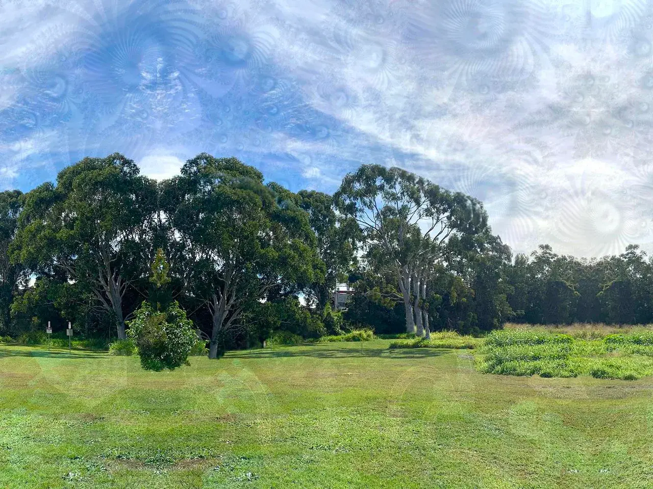 first replication i ever made, go easy on me haha, the place in this photo is a place i actually recently tripped at