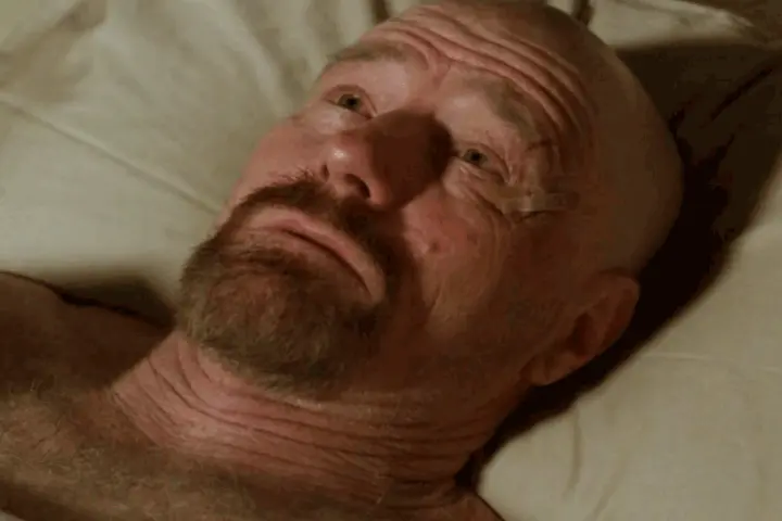 When you look at your face in the mirror