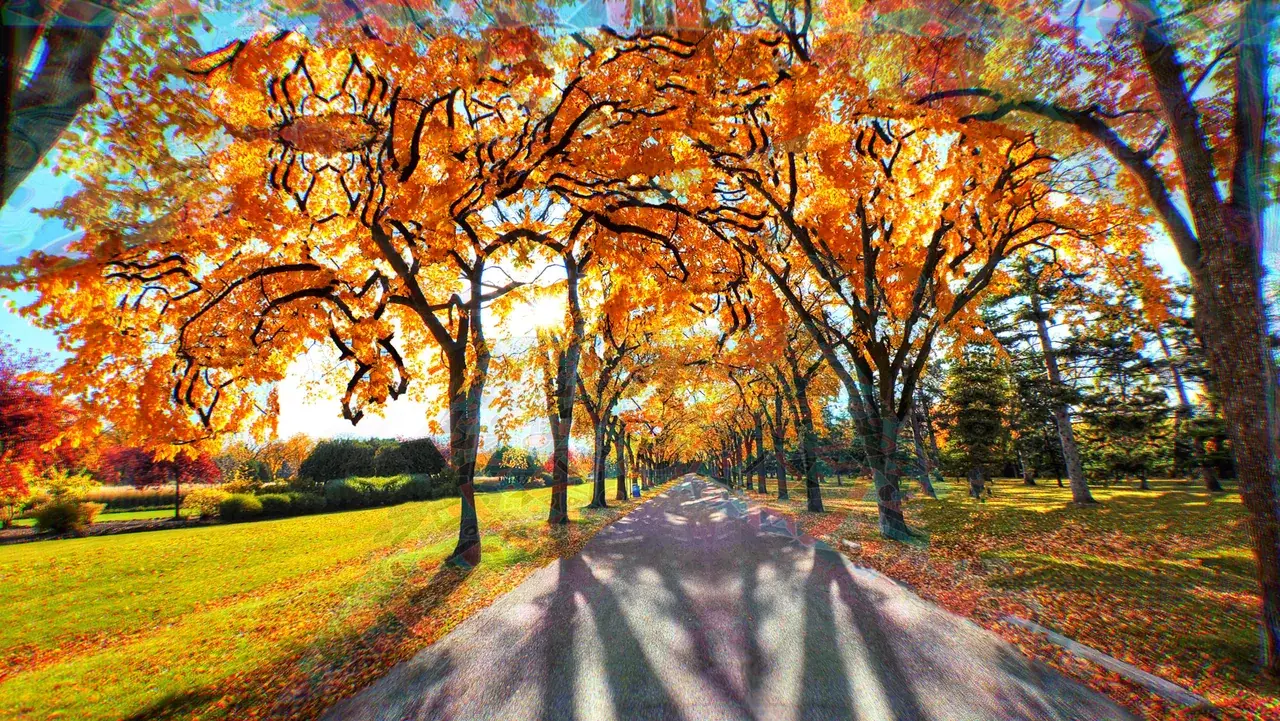 What are the trees doing ? LSD replication