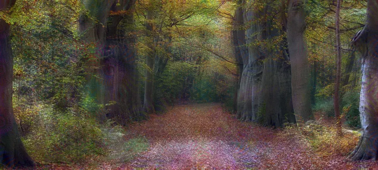 You guys like LSD?