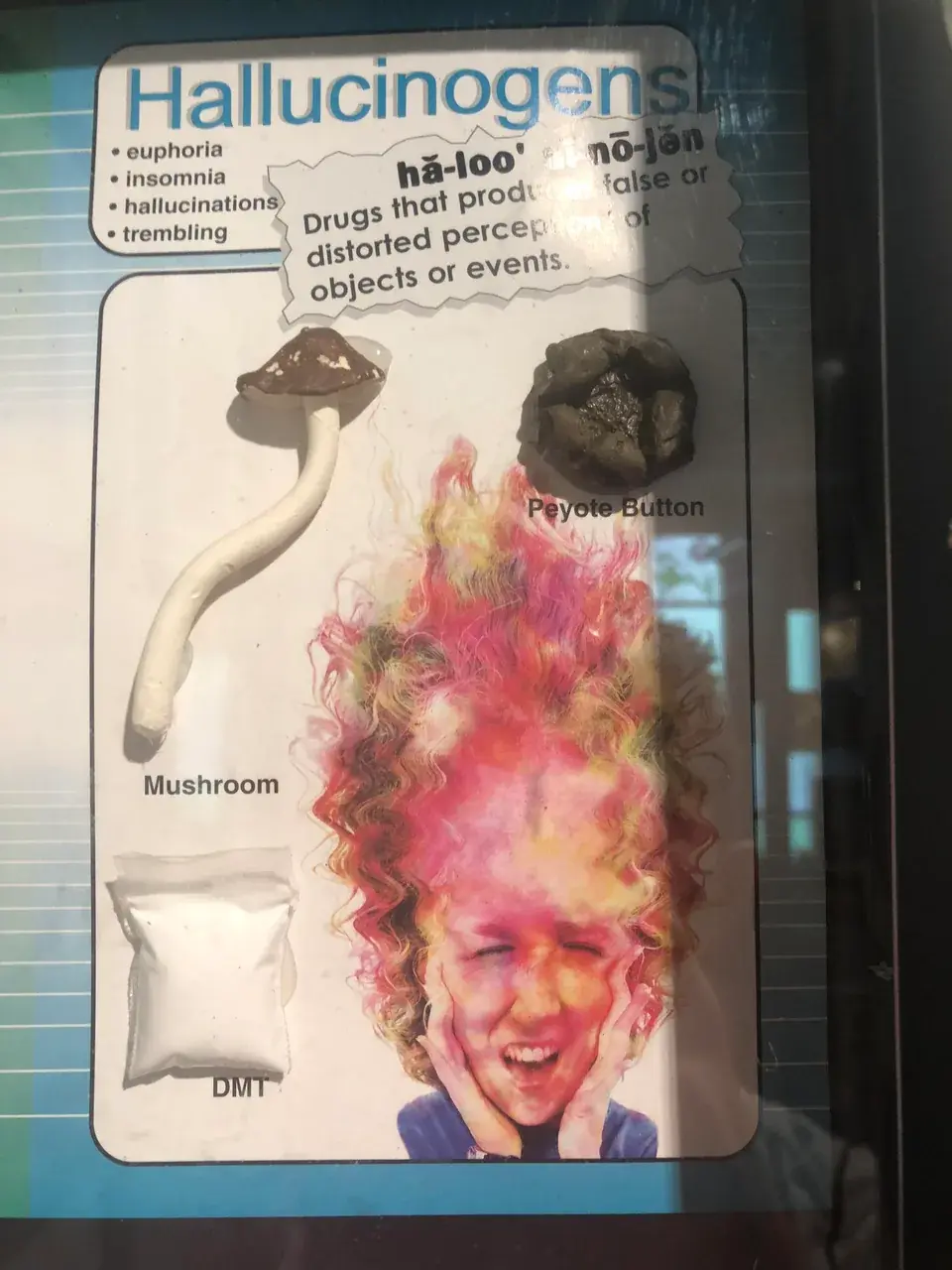 Accurate replication of any hallucinogenic