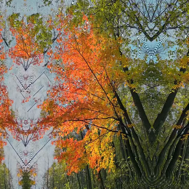 Shrooms and cocaine gave me a really interesting moiré effect that was simultaneously fractalized and also melting my depth perception. If only I could accurately explain it lol. Here’s my replication.
