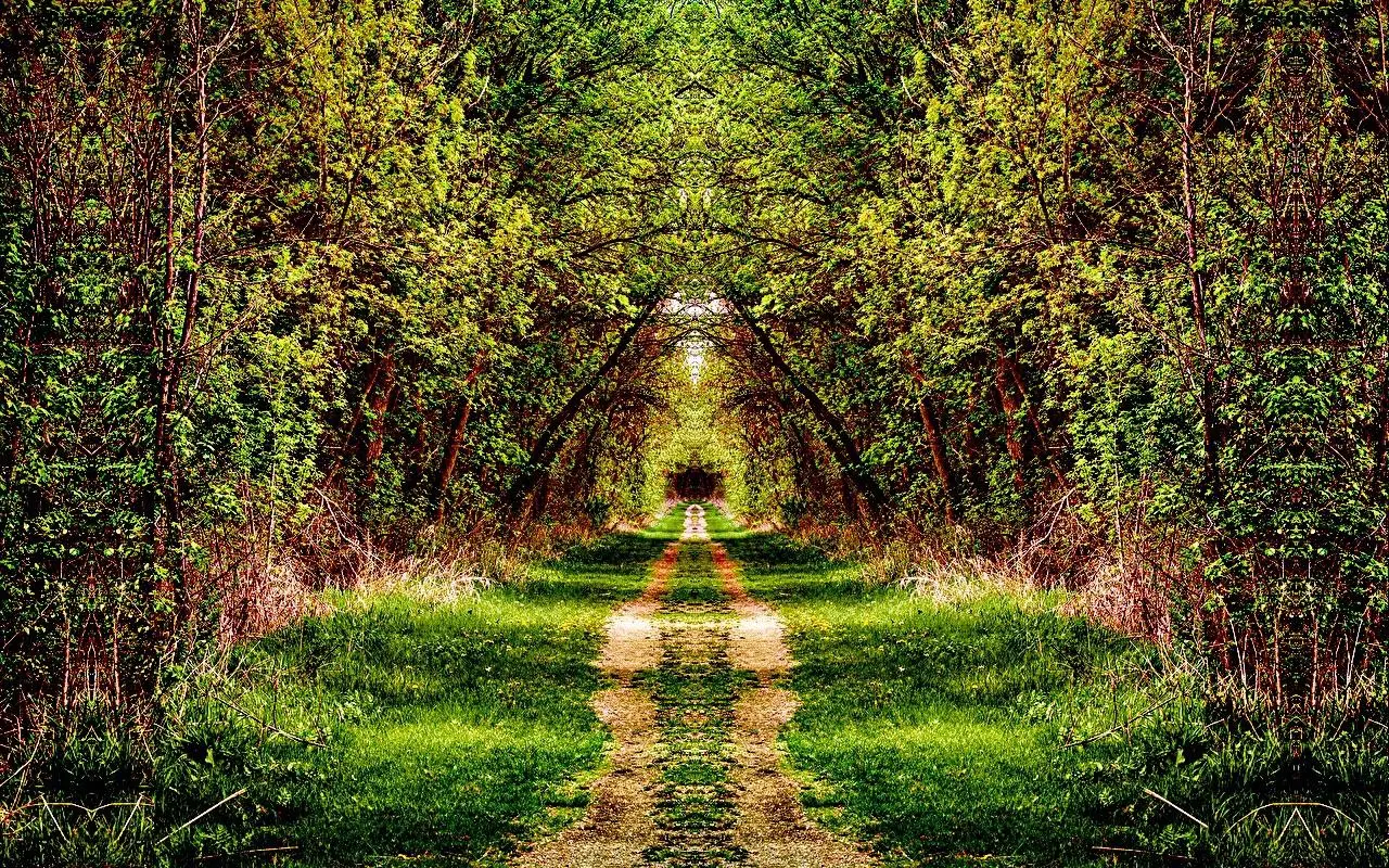LSD experience replication 200 Ug