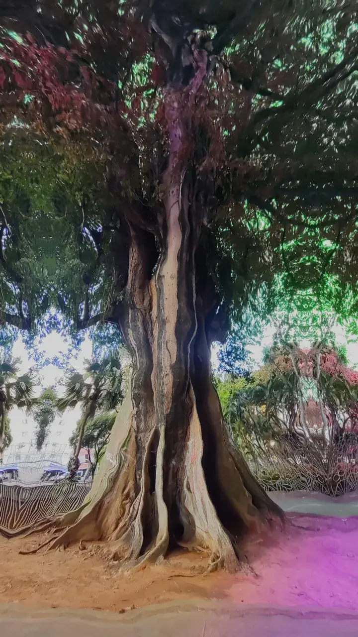 A walk in the park