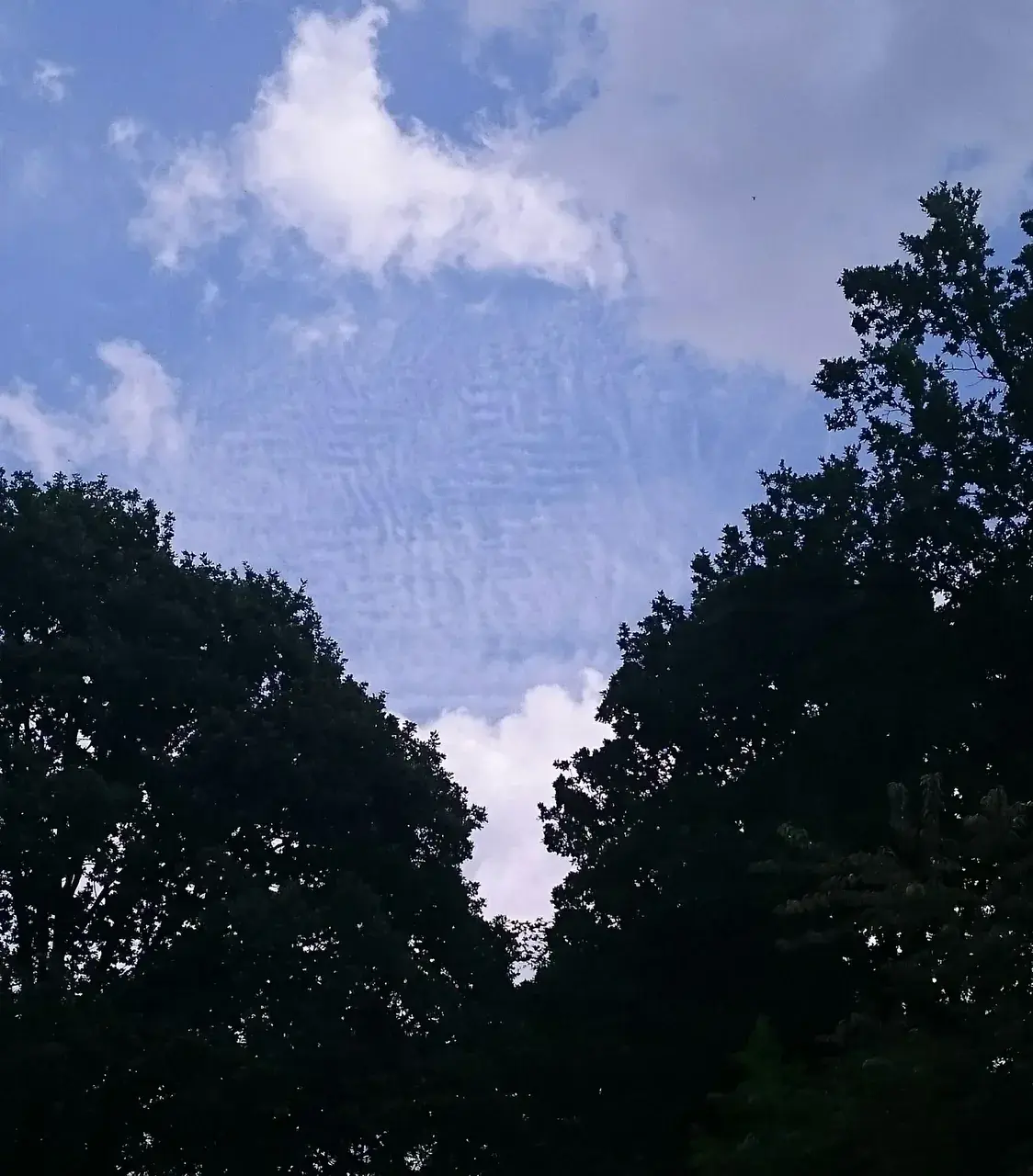 Cloud patterns 150ug (xpost /r/weather)
