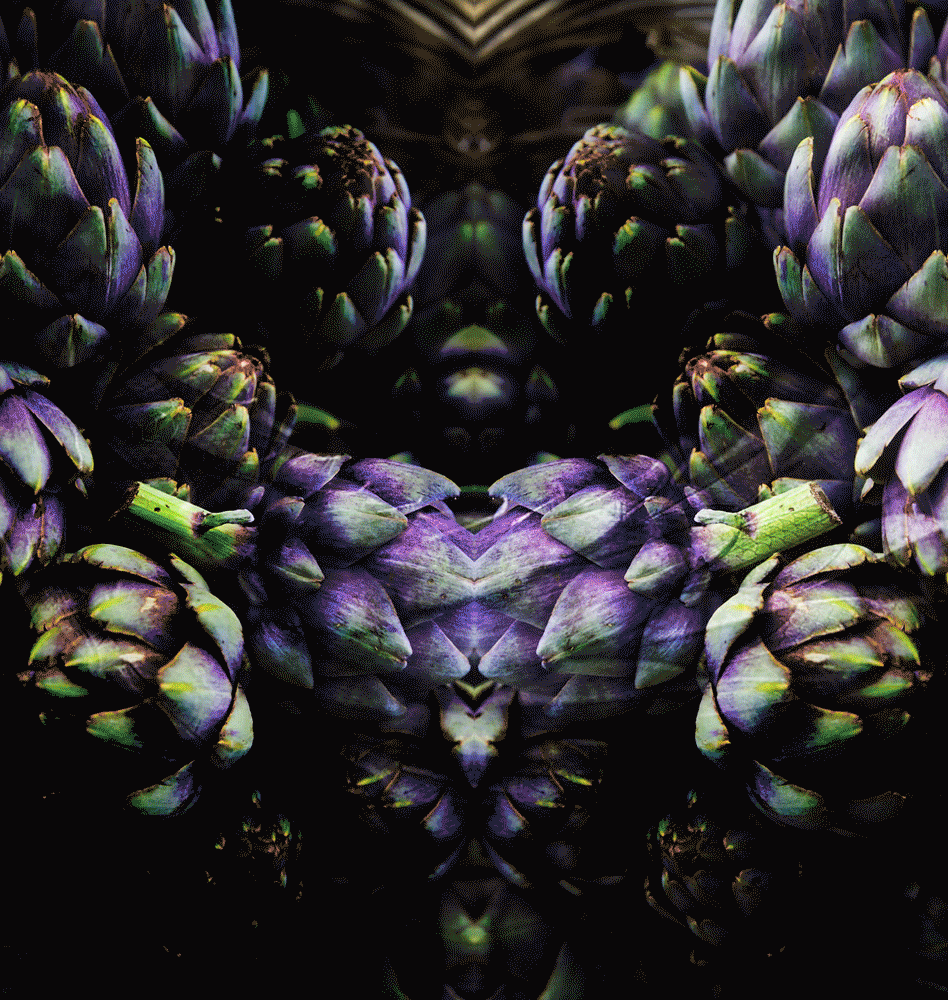 Artichoke dimension