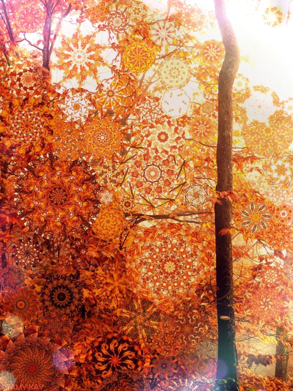 Deep in the fall (OC)