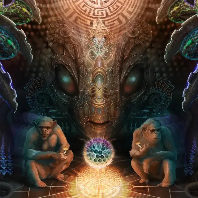 Primate Temple Vision