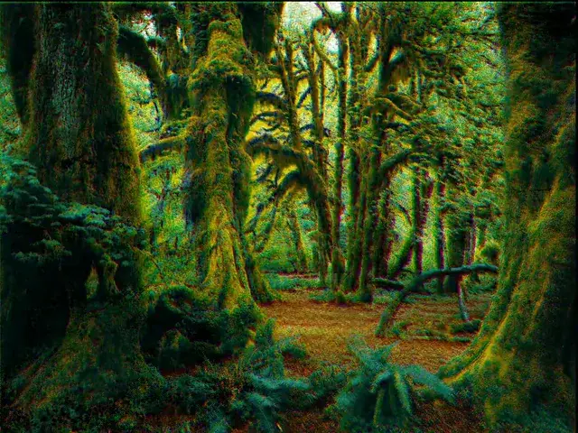 Colored Forest Breathing