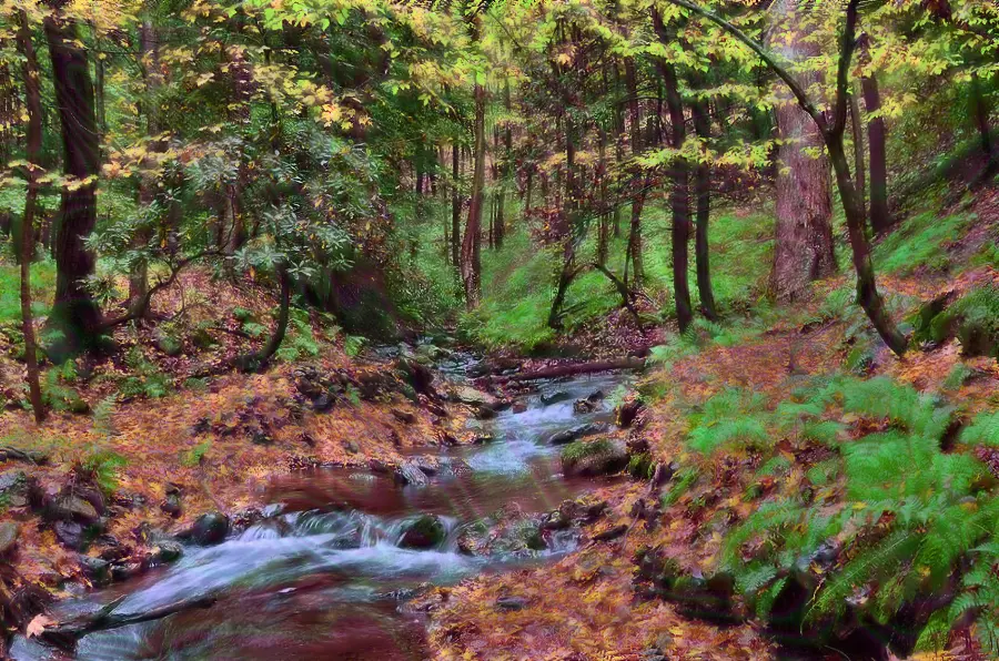 Forest Trip, let me know your thoughts.