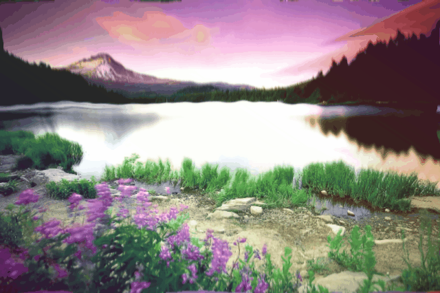 200ug?