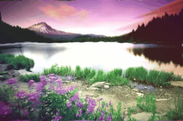 200ug?