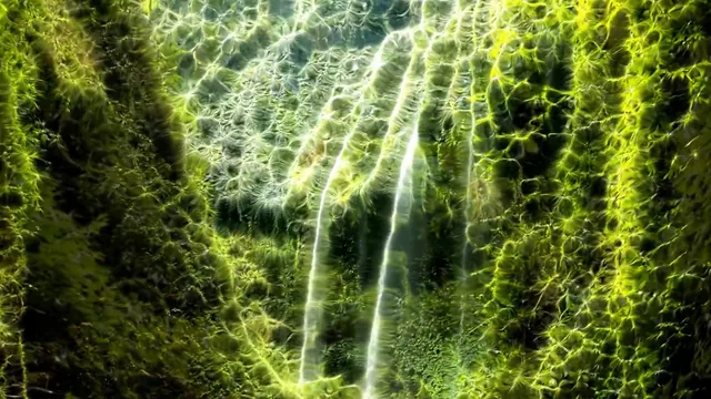 When you stare at a point and you surrender (I made the music too, full video in the comments)