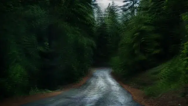 Staring at the road for too long on acid