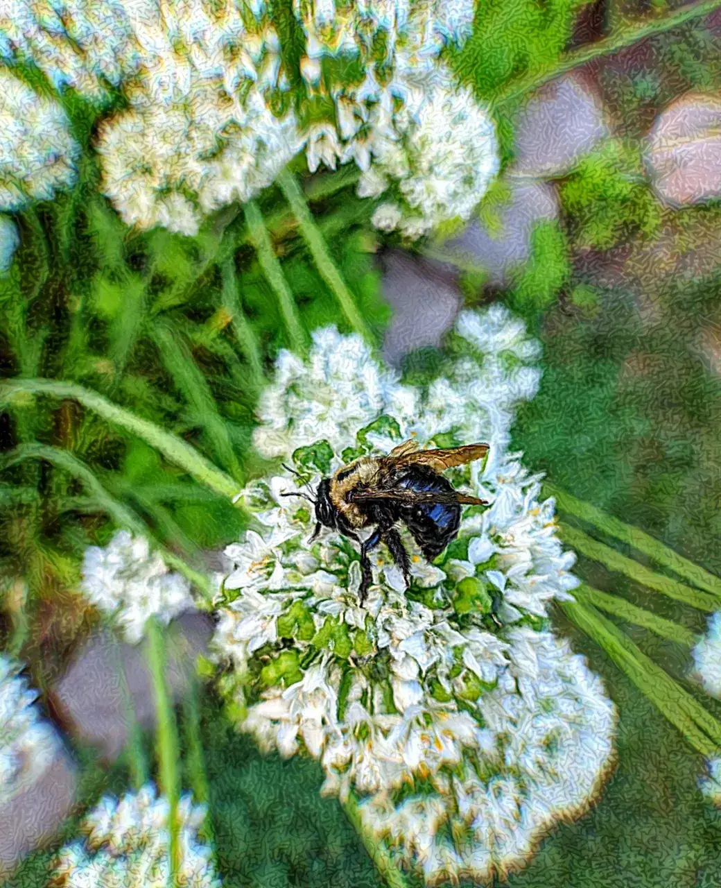 O keeper of the honey [LSD]