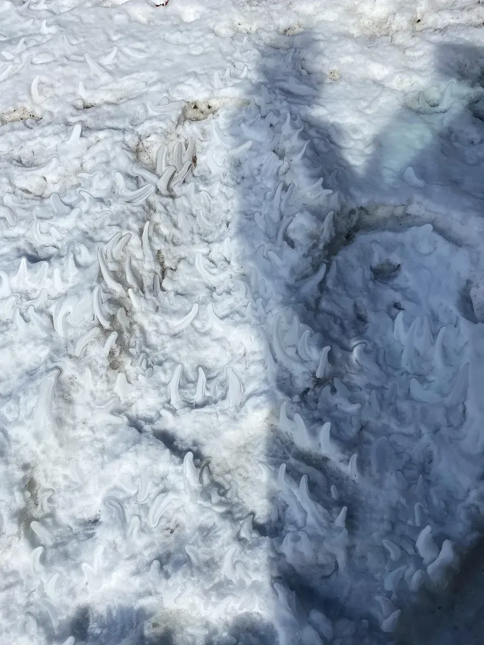 Acid snow