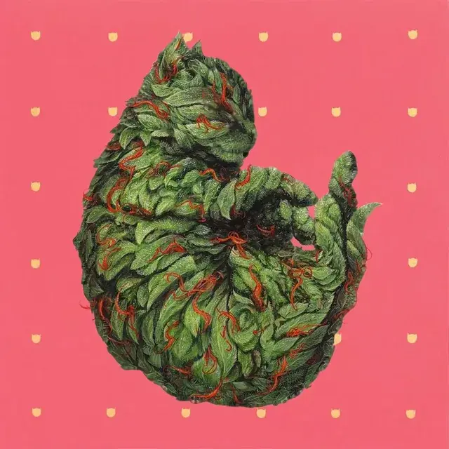 Looking at the nug.