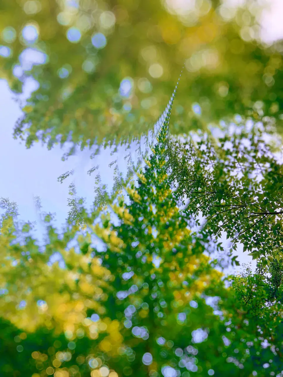 Thanks for the love on my last submission. Here's another one you may enjoy.
