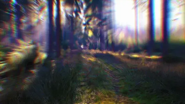 Focusing on a single point on psychedelics (Psychedelic replication)
