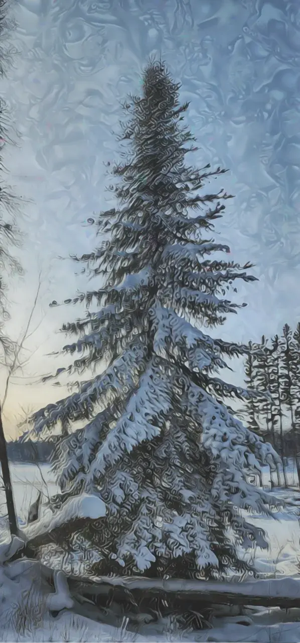 Winter Trip