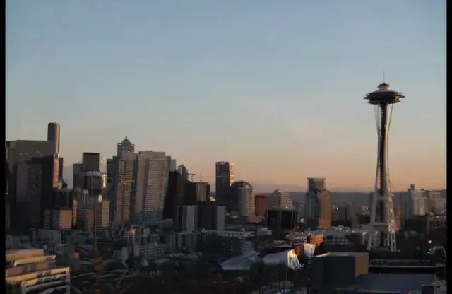 Shrooms in Seattle.