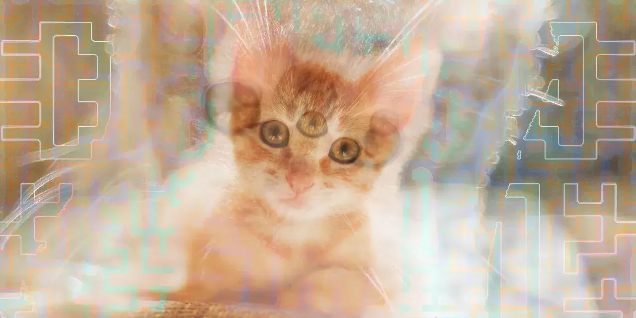 World breaking up into patters on DMT