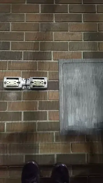 Brick wall on 1.5g cubensis