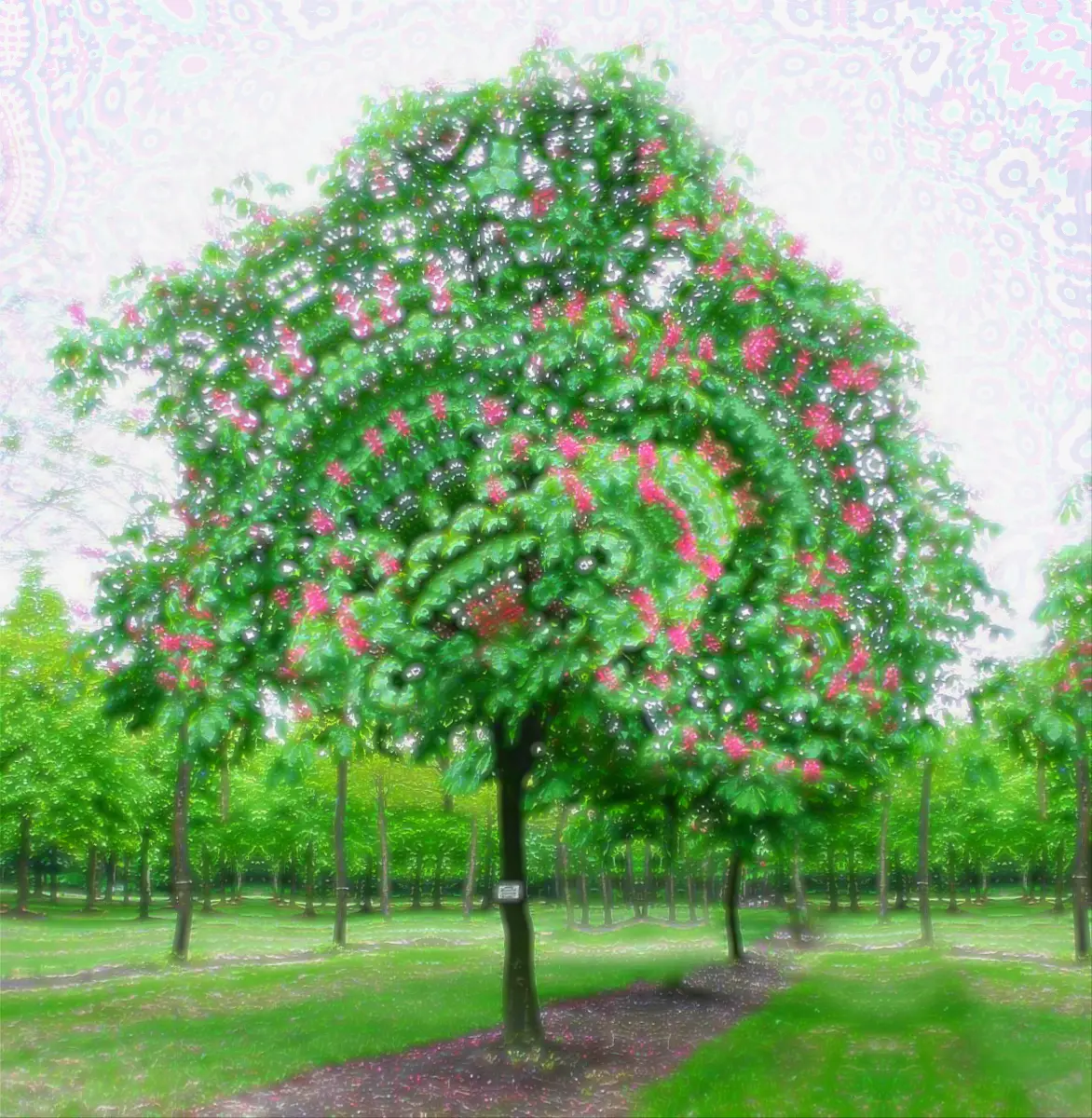Mosaic Tree (Shrooms)
