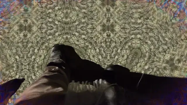 who... are you? (LSD replication)
