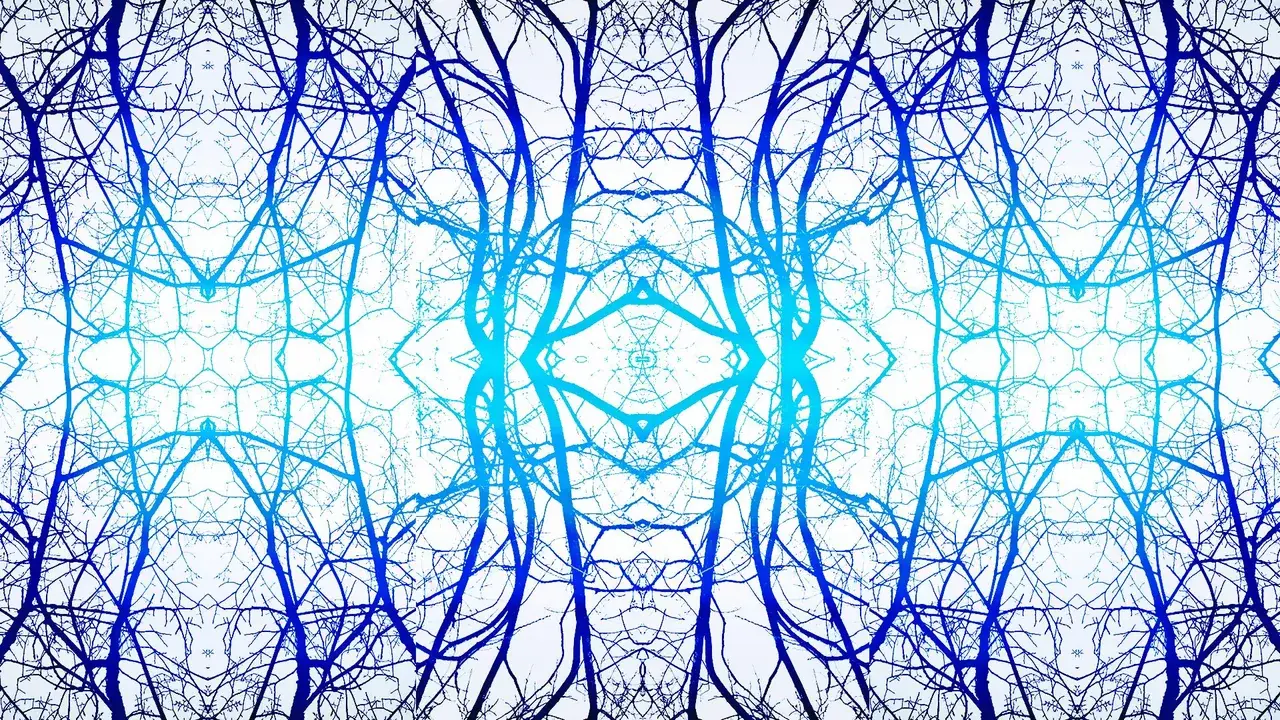 THC + LSD