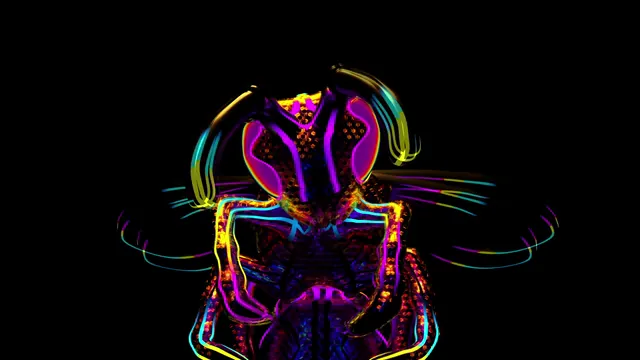 Alien Bee