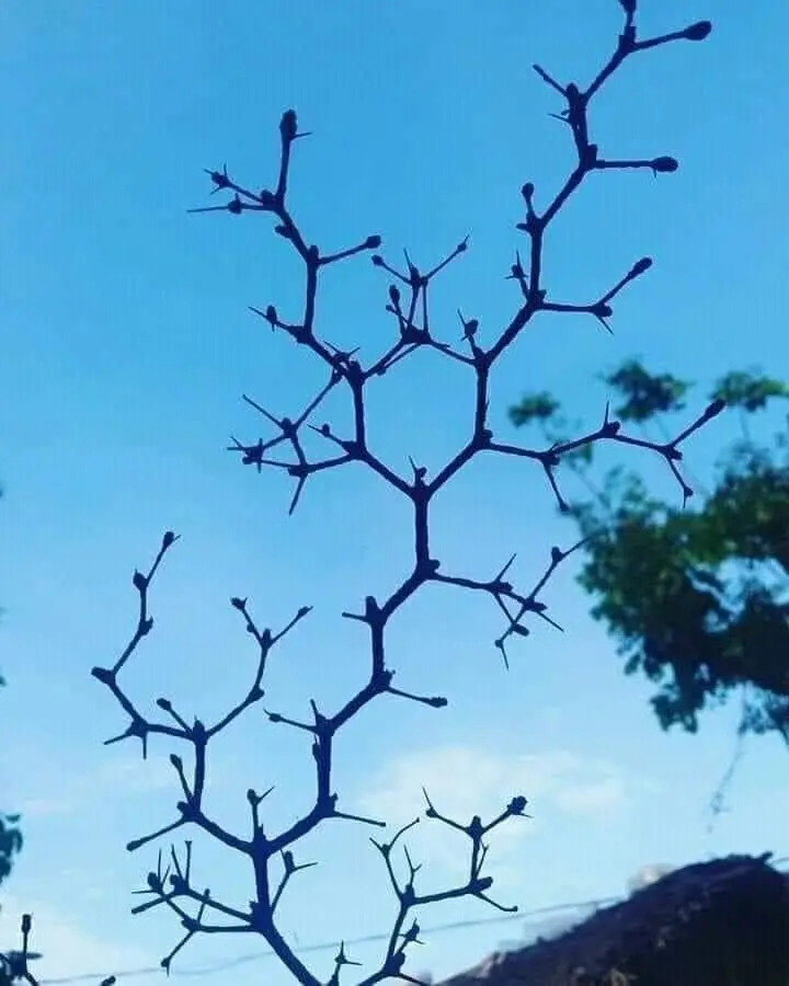 Seeing hexagons in nature