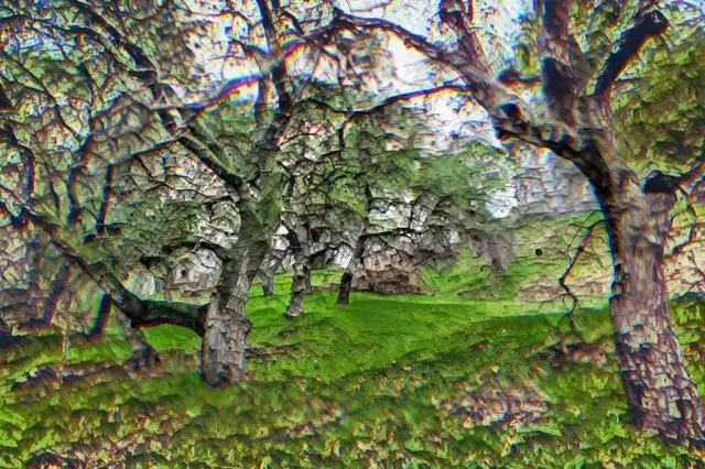 entrance to the fairy forest