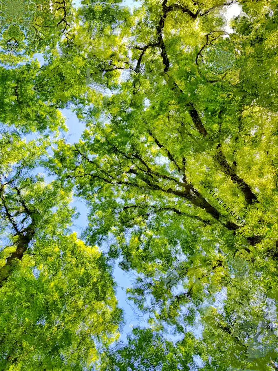 Laying back at camp on 150ug